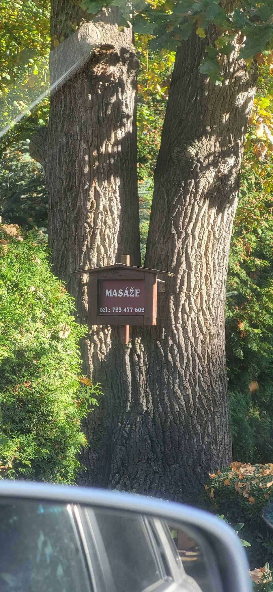General